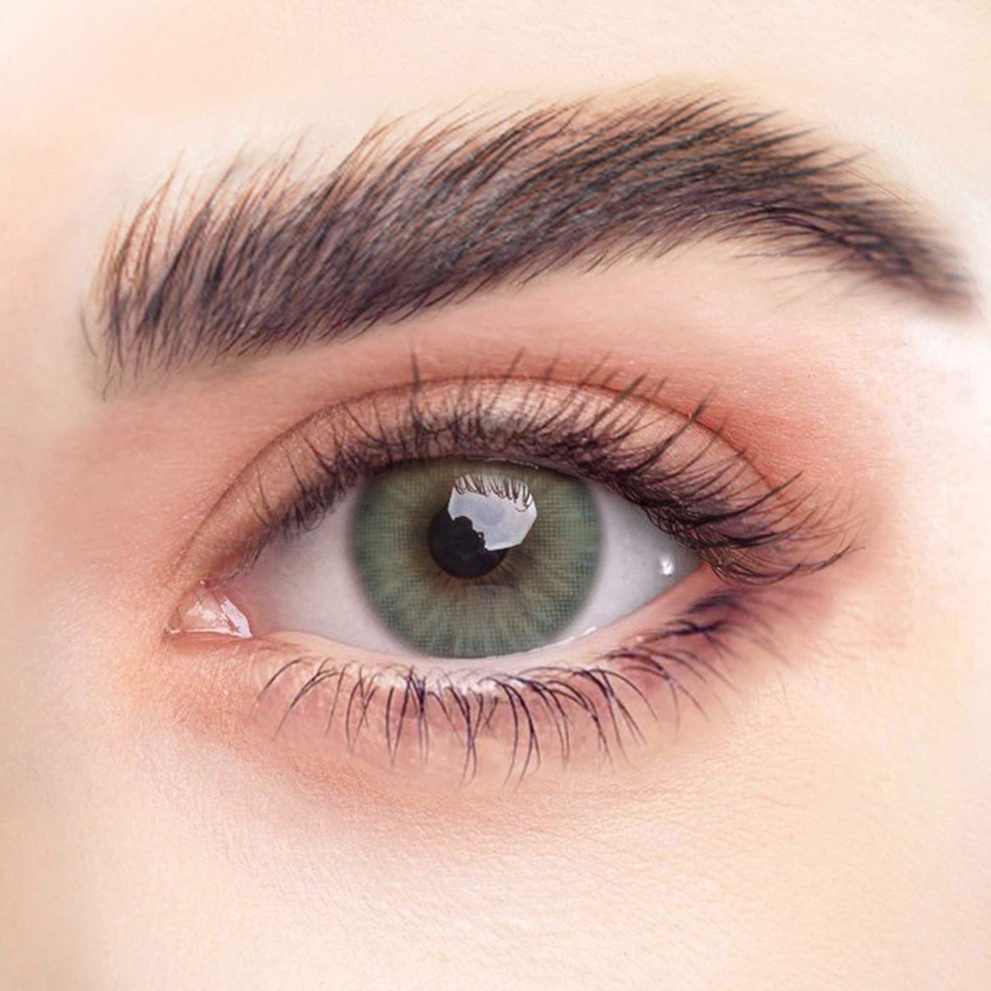 Rehlein Premium Beauty Linsen in der Farbe Waldgrün - farbige Kontaktlinsen, Monatslinsen für den täglichen Gebrauch, Nahaufnahme am Auge, natürliche Farbabdeckung