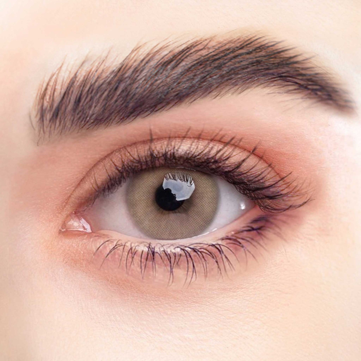 Rehlein Premium Beauty Linsen in der Farbe Beigebraun - farbige Kontaktlinsen, Monatslinsen für den täglichen Gebrauch, Nahaufnahme am Auge, natürlicher Farbabdeckung