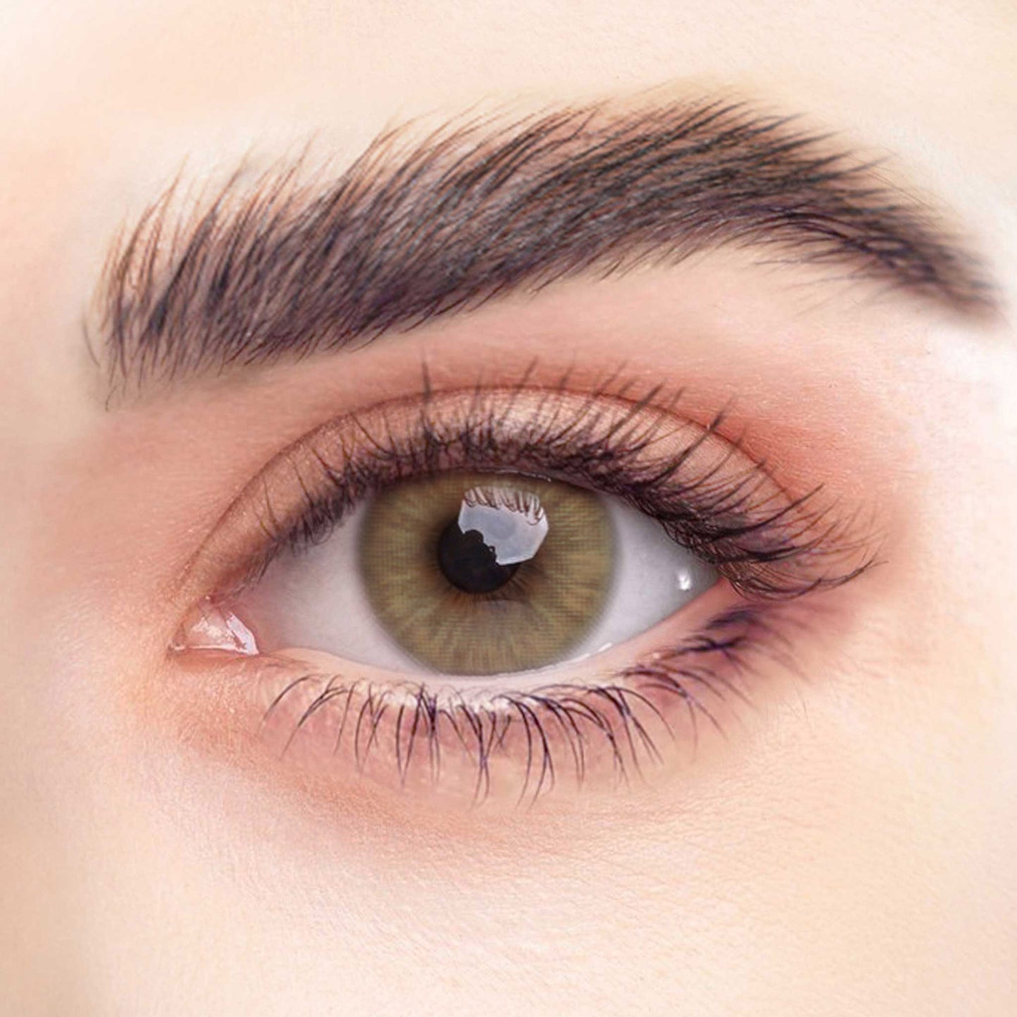 Rehlein Premium Beauty Linsen in der Farbe Goldbraun - farbige Kontaktlinsen, Monatslinsen für den täglichen Gebrauch, Nahaufnahme am Auge, natürliche Farbabdeckung