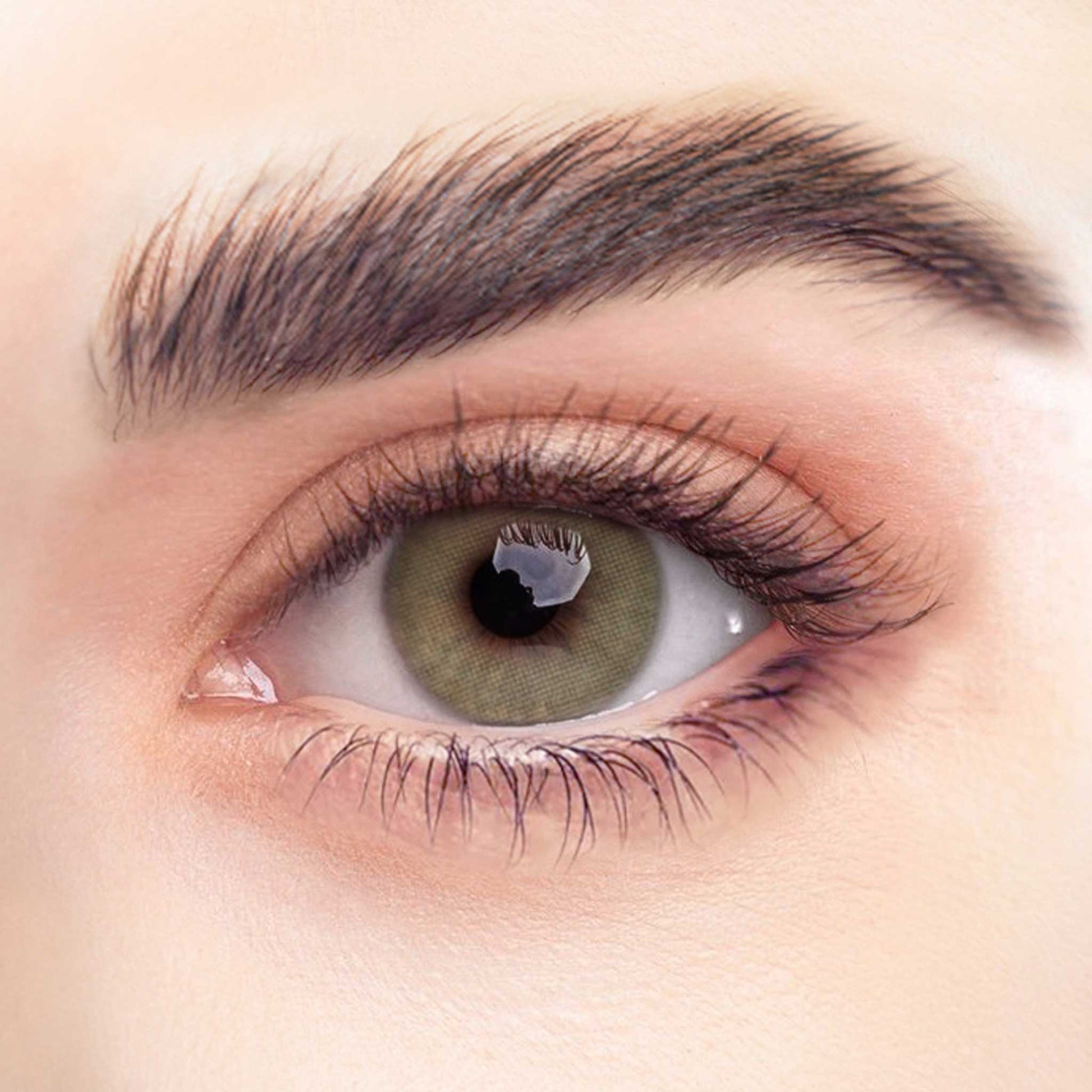 Rehlein Premium Beauty Linsen in der Farbe Olivgrün - farbige Kontaktlinsen, Monatslinsen für den täglichen Gebrauch, Nahaufnahme am Auge, natürliche Farbabdeckung